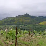 Casa De Ladreda * Tangil
