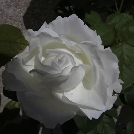 Casa de Campo Casa De Ladreda Tangil