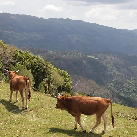 Casa De Ladreda Tangil