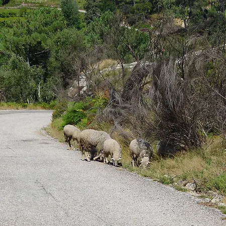 Casa De Ladreda * Tangil