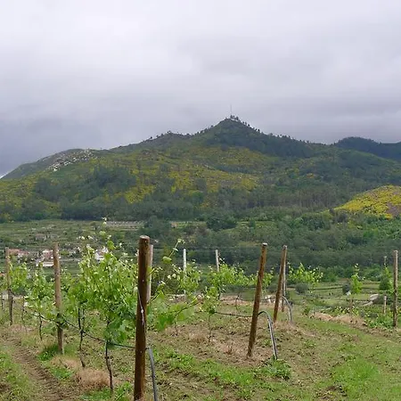 Casa De Ladreda * Tangil