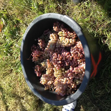 Landsted Casa De Ladreda