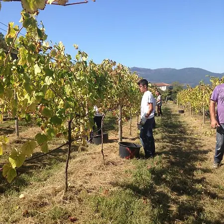 Casa de Campo Casa De Ladreda Tangil