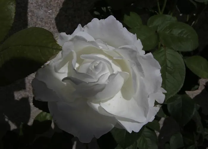 Landhaus Casa De Ladreda Tangil