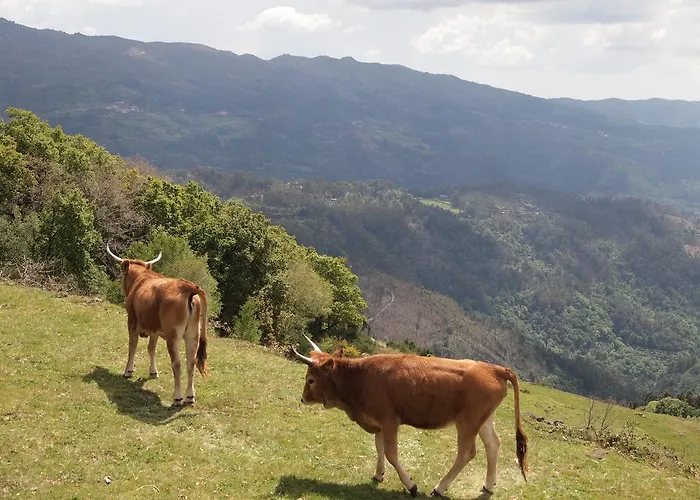 Casa De Ladreda Tangil