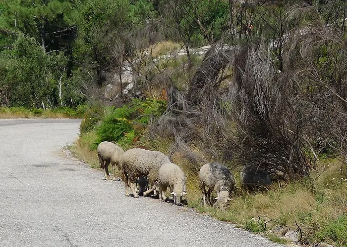 Casa De Ladreda * Tangil