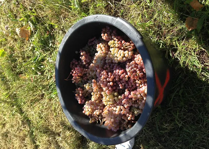 Casa rural Casa De Ladreda
