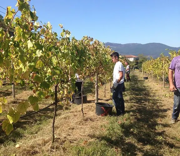 Casa rural Casa De Ladreda Tangil